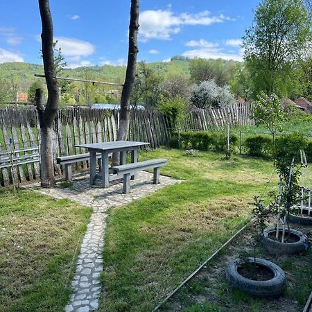Green Garden Petroşani Dış mekan fotoğraf